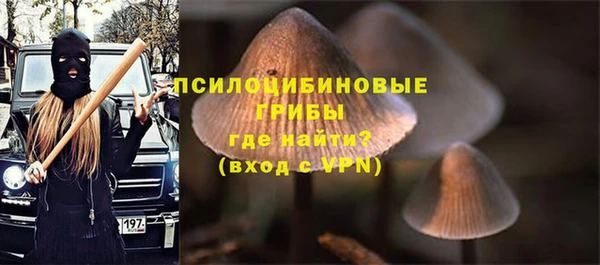 герыч Иннополис