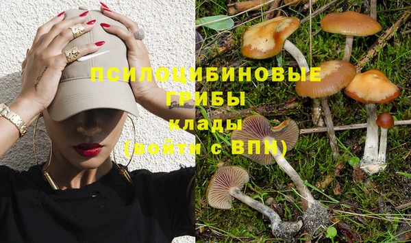 кристаллы Инта