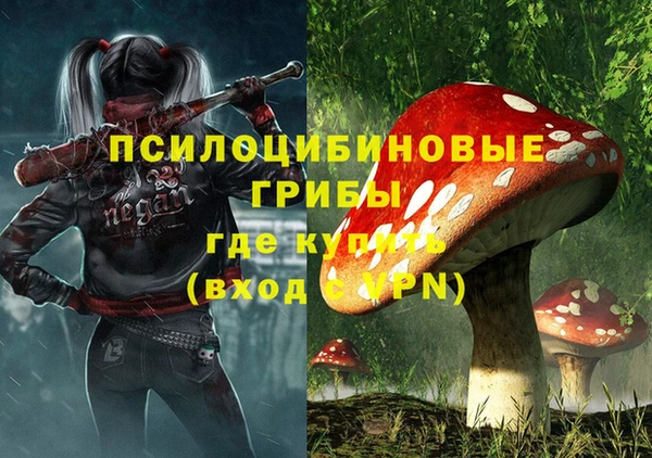 герыч Иннополис
